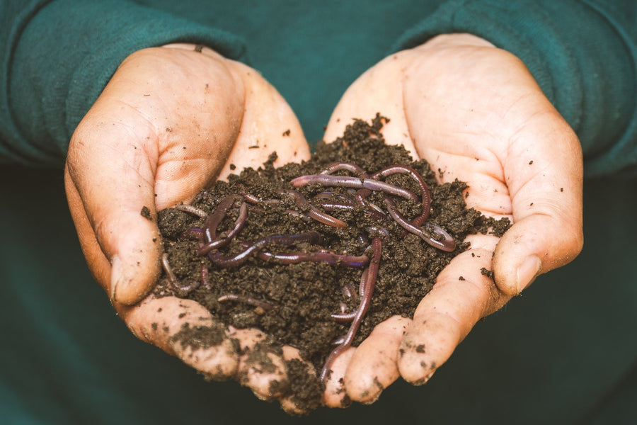 What is Composting?